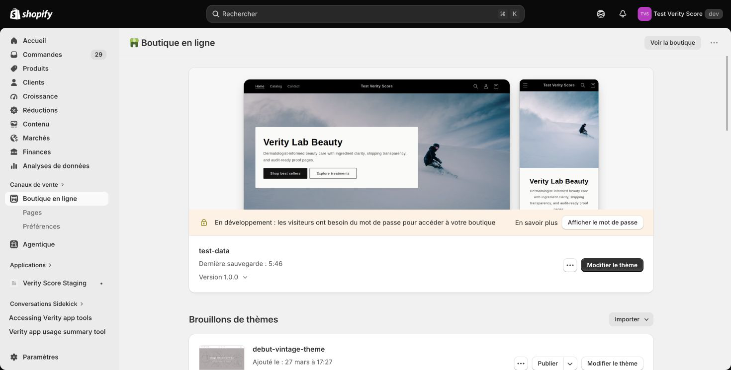 Shopify Online Store Themes screen with the Customize theme button